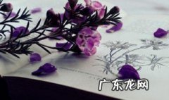 过去式的用法 过去式的用法和含义