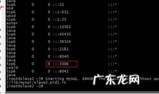 linux 查看进程命令 linux查看进程的方法