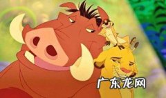 阿库塔玛塔塔 阿库纳玛塔塔什么意思