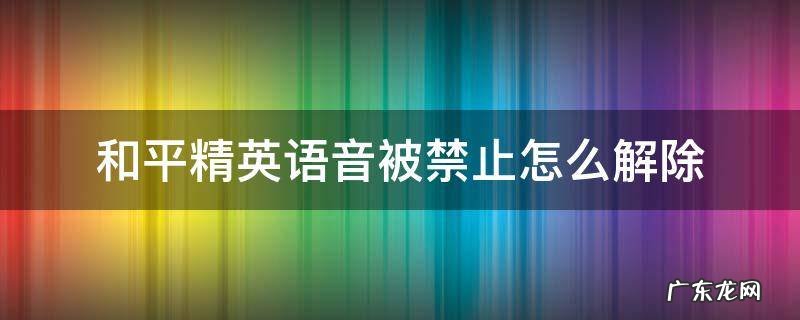 和平精英语音被禁止怎么解除