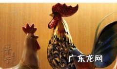 铁公鸡比喻什么人类 铁公鸡比喻什么人