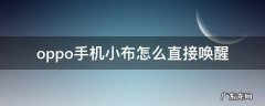 oppo手机小布怎么直接唤醒 Oppo手机如何唤醒小布