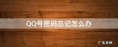 qq号忘了密码该怎么办 QQ号密码忘记怎么办