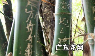 怎样在竹子上刻字? 如何在竹子上刻字