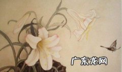 工笔画教程视频 工笔画教程