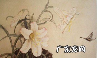 工笔画教程视频 工笔画教程