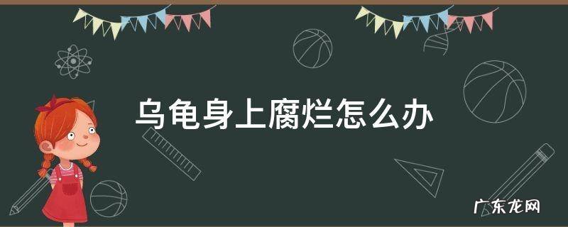 乌龟身上腐烂怎么办 乌龟身上有腐烂怎么治