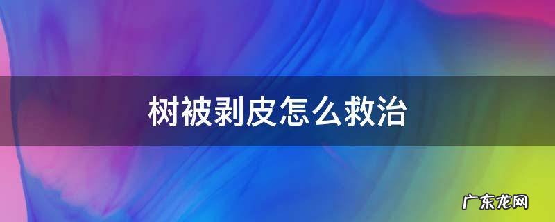树被剥皮怎么救治 树被剥皮后怎样挽救
