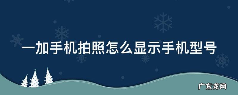 一加手机拍照怎么显示手机型号 一加手机拍照怎么显示手机型号和型号