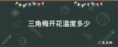 三角梅开花温度多少 三角梅花生长温度