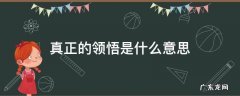 领悟真谛是什么意思 真正的领悟是什么意思