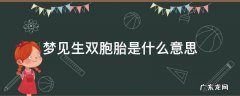 梦见生双胞胎是什么意思 老公梦见生双胞胎是什么意思