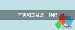 白玉兰跟辛夷的区别 辛夷和玉兰是一种吗