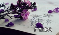 个性英文名有哪些字母 个性英文名有哪些