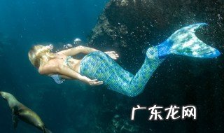 世界上真有美人鱼吗?看科学家 世界上真有美人鱼吗