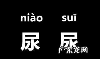 尿尿的正确读音 尿的读音有哪些