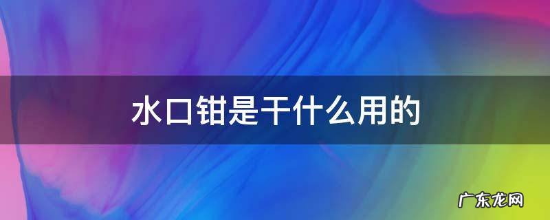 水口钳是干什么用的 什么叫水口钳