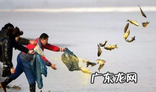 放生的功德有哪些 放生的功德有哪些讲究