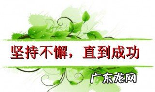 坚持不懈的反义词