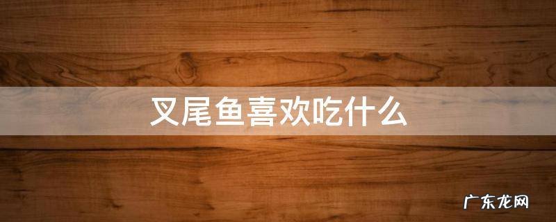 叉尾鱼喜欢吃什么东西 叉尾鱼喜欢吃什么