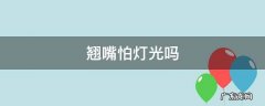 翘嘴怕灯光吗 翘嘴晚上怕光吗