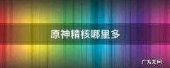 原神精精精是什么 原神精核哪里多