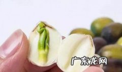 莲子心能吃吗?煮时用去掉吗? 莲子心能吃吗