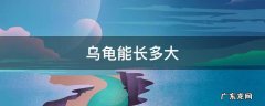 家养乌龟能长多大 乌龟能长多大