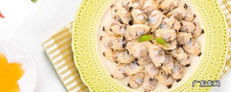 不带壳花蛤肉的做法 无壳蛤蜊肉的做法大全