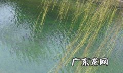 柳枝细长细长的像什么 柳枝细长细长的像什么比喻句