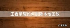王者荣耀如何删除本地回放 怎么删除王者荣耀里面的本地回放