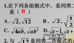 什么是同类二次根式