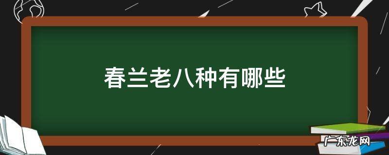 春兰老八种有哪些品名 春兰老八种有哪些