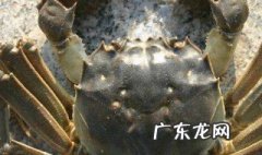 螃蟹怎么杀 活螃蟹怎样杀和处理干净