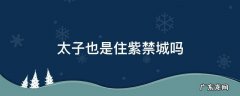 太子住在紫禁城哪一间 太子也是住紫禁城吗