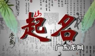 装饰公司起名有什么技巧 装饰公司起名有什么技巧嘛