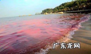 什么是赤潮,如何预测预报赤潮 什么是赤潮