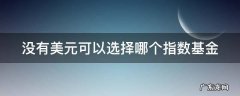 没有美元可以选择哪个指数基金交易 没有美元可以选择哪个指数基金