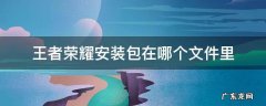 王者荣耀安装包在哪个文件里 王者荣耀的安装文件夹