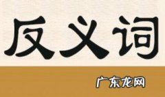 断绝的反义词 鲜嫩的反义词