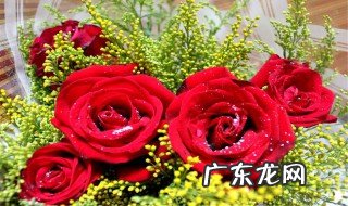 玫瑰花的种植方法及养护简单 玫瑰花的种植方法