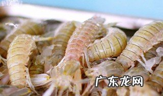 食材皮皮虾做法窍门 皮皮虾做法吃法