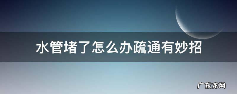 水管堵了怎么办疏通有妙招 水管堵了怎么办疏通有妙招养殖场