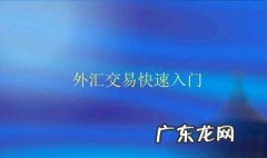 外汇入门基础知识 外汇入门基础知识教程
