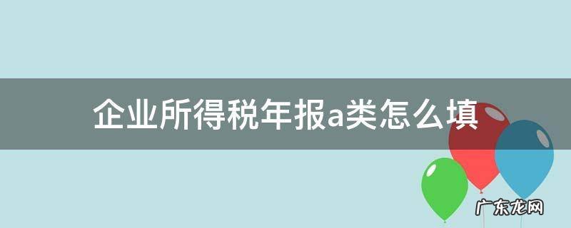 企业所得税年报a类怎么填 企业所得税季报a类怎么填