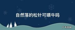 松树针叶喂牛 自然落的松针可喂牛吗