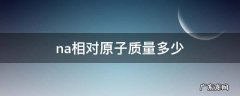 nai的相对原子质量 na相对原子质量多少