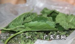 养蚕的方法 养蚕的方法和步骤