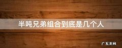 半吨兄弟组合到底是几个人 半吨兄弟组合名字都叫啥