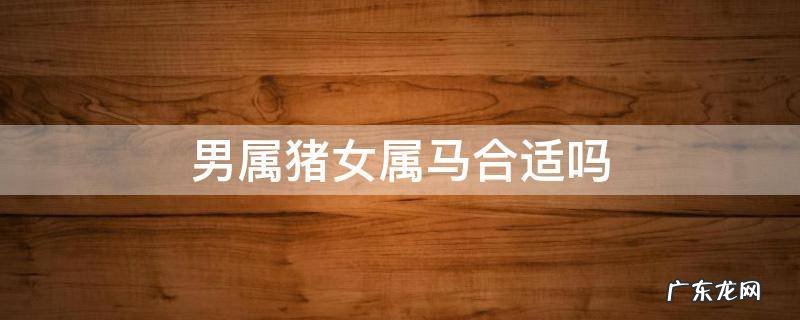男属猪女属马合适吗 男属马女属猪合不合适 为什么